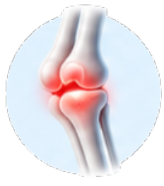 Analgesic & Rheumatology